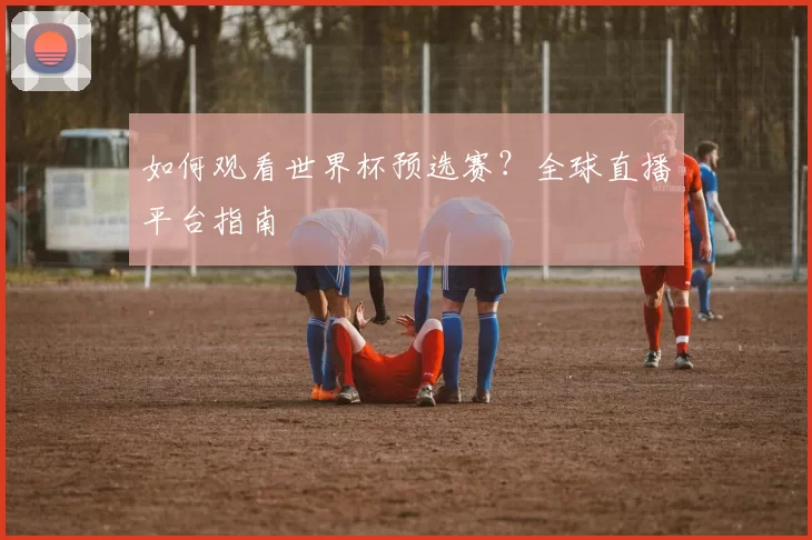 如何观看世界杯预选赛?全球直播平台指南