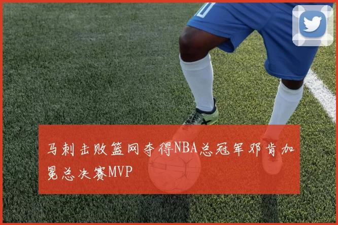 马刺击败篮网夺得NBA总冠军邓肯加冕总决赛MVP