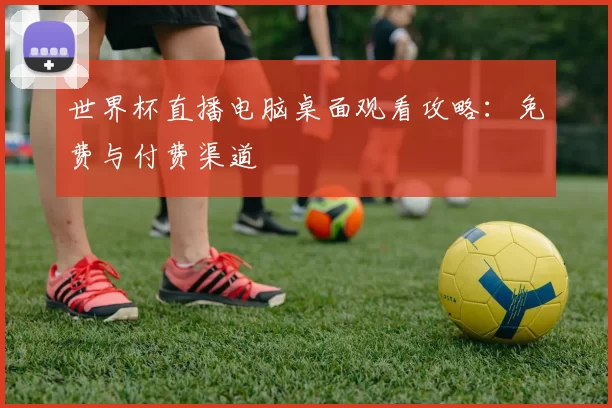 世界杯直播电脑桌面观看攻略：免费与付费渠道