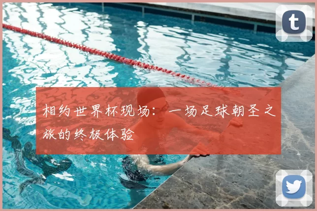 相约世界杯现场：一场足球朝圣之旅的终极体验