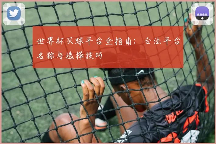 世界杯买球平台全指南：合法平台名称与选择技巧