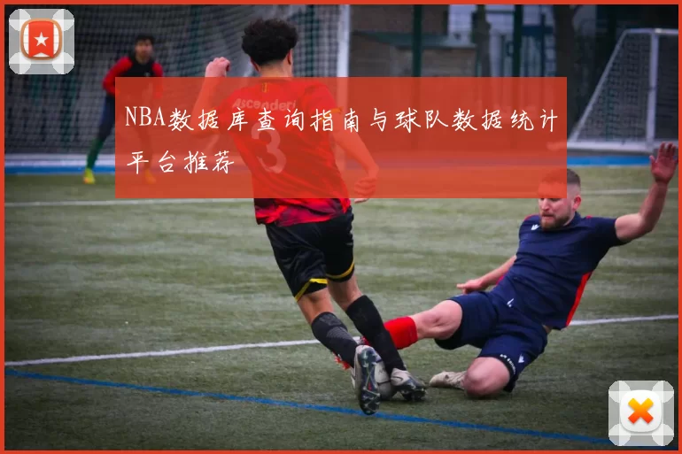 NBA数据库查询指南与球队数据统计平台推荐