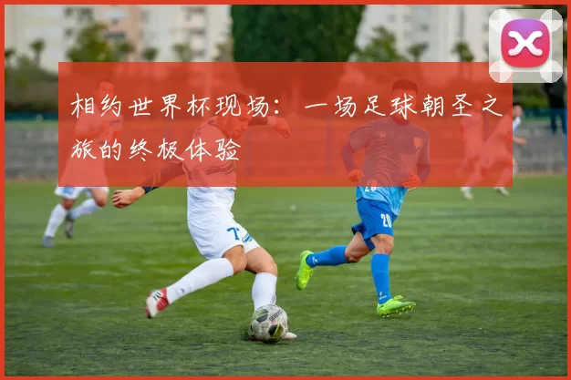 相约世界杯现场：一场足球朝圣之旅的终极体验