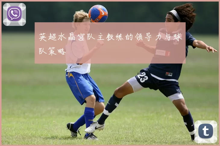英超水晶宫队主教练的领导力与球队策略