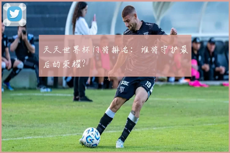 天天世界杯门将排名:谁将守护最后的荣耀?