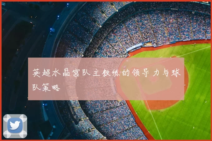 英超水晶宫队主教练的领导力与球队策略