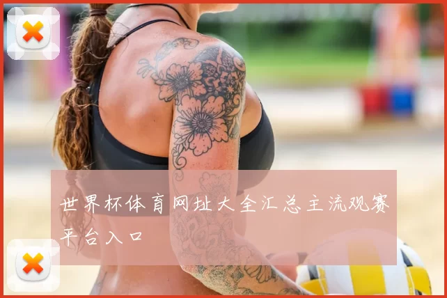 世界杯体育网址大全汇总主流观赛平台入口