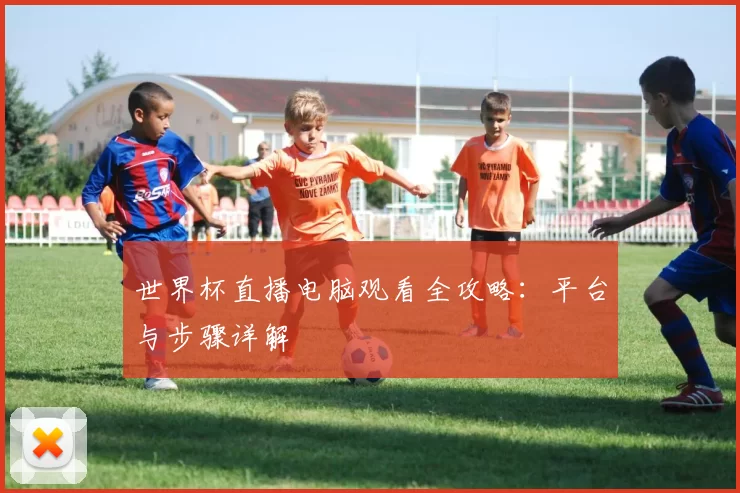 世界杯直播电脑观看全攻略:平台与步骤详解