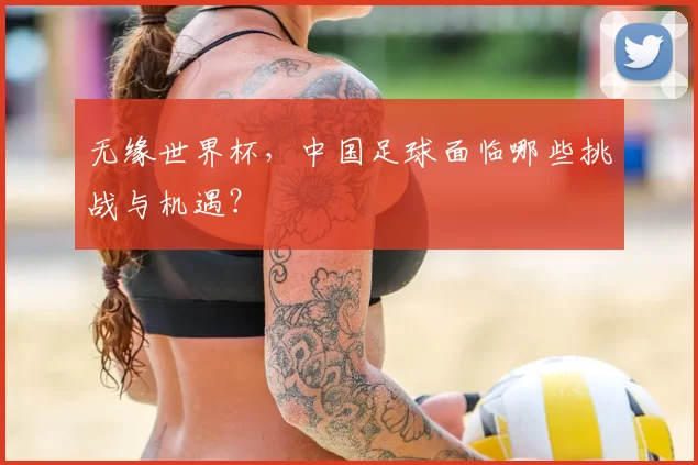 无缘世界杯,中国足球面临哪些挑战与机遇?