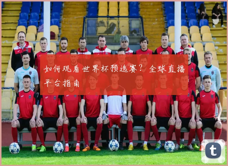 如何观看世界杯预选赛?全球直播平台指南